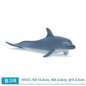 모형 화석 희귀 피규어 제품 고대 수집 물고기 동물 희귀동물 해양생물 수집품 실러캔스