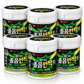 롯데웰푸드 졸음 번쩍 껌