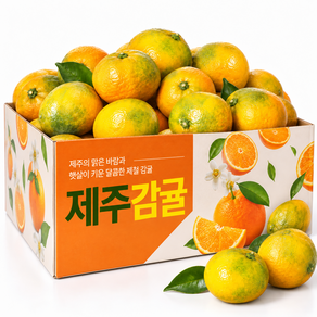 [특가판매] 고당도 귤 제주 감귤