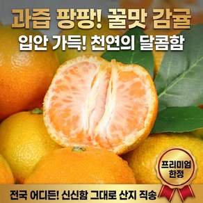 [농장직송] 제주 햇 극조생 노지감귤 밀감
