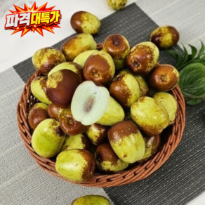 [26년햇사과대추] 아삭달큰 산지직송 맑은물 사과대추