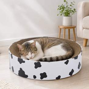 PAWZ Road 고양이 스크래쳐 우유빛 원형 장난감 스크래처 고양이 용품