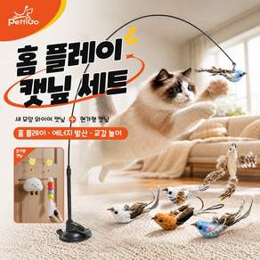Pettigo 고양이 티저 완구 버드 5종 구름 애벌레 포함