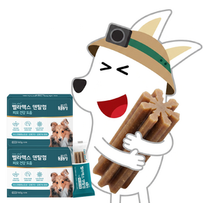 벨라맥스 SBS TV 동물농장 수의사 강아지 덴탈껌