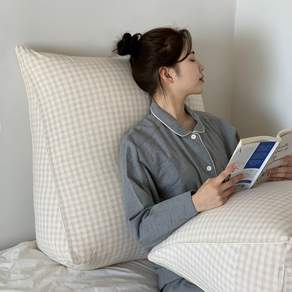 집앤콕 삼각 등받이 쿠션 봄체크