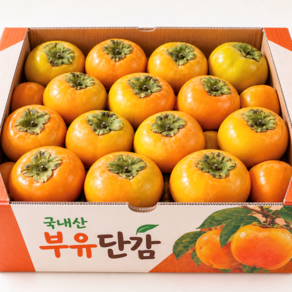 [단독행사]정품 고당도 단감 국산 감