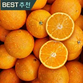 [직수입] 신선한 고당도 호주산 오렌지