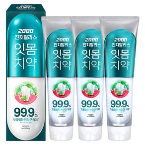 2080 진지발리스 허벌민트향 치약