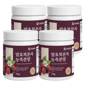 Salmsi 살므시 발효 복분자 농축 분말