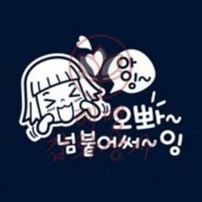 혜명잡화상사 자동차스티커 아잉오빠넘붙어써잉 초보운전 반사 빛반사스티커