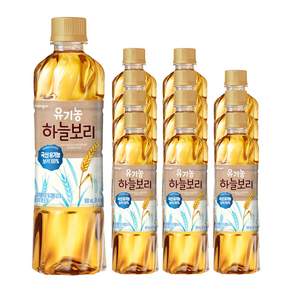 웅진 유기농 하늘보리 차음료