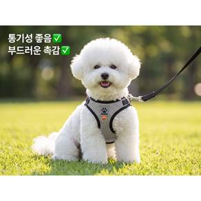 강아지 하네스 리드줄 세트 야간 반사 산책용 안전 목줄