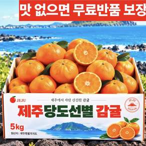 [마지막초특가] 산지직송 고당도 제주 감귤