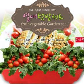 SKFARM 열매텃밭세트 방울토마토 씨앗 키우기 화분 분갈이흙