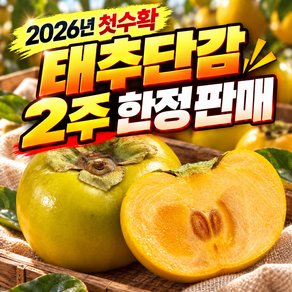 [당일출고] 태추단감 고당도 품절임박 산지직송