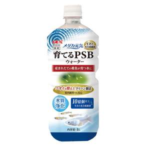 젝스 GEX 메다카 PSB 워터 수질정화