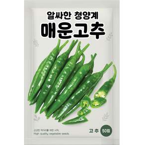 NH농우바이오 청양계 매운고추 청양고추 씨앗 종자 50립