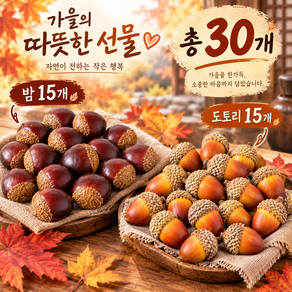 도토리 알밤 모형 30p 견과류 장식 가을 열매 장식