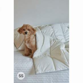 오디넌트 여름 차렵이불 슈퍼싱글 SS 양면 접촉냉감 쿨링 이불
