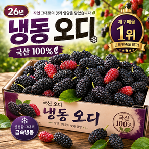 [50박스한정!] 국내산100% 과즙가득 냉동 토종오디