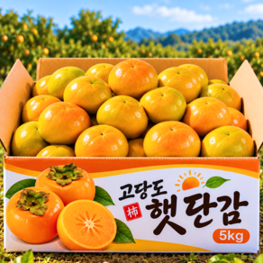 [마지막할인] 딱70박스만 고당도 국내산 햇 단감