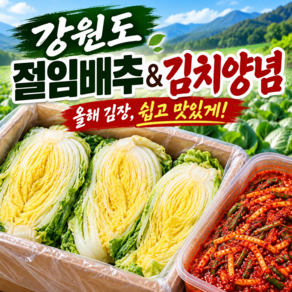 [하루 20박스 한정]강원도 고랭지 절임배추 5kg + 김치양념 2kg 김장 세트