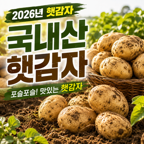 26년 농가직접재배 국내산 수민팜 햇감자 가성비1등