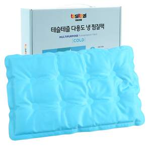 테슬테즐 사각 다용도 냉 찜질팩 스카이블루 HZM-TC1