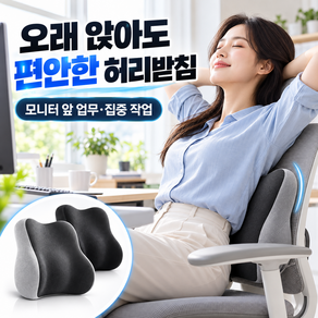워니아 올데이 착붙 허리 등받이 쿠션