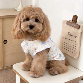 파울리 강아지 고양이 순면 동물친구들 골지 원피스 실내복 레이스 원피스 가을옷 겨울옷 비숑 말티푸