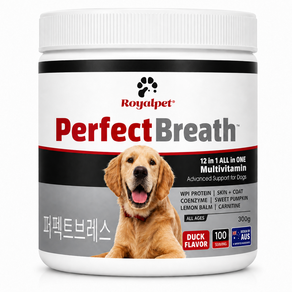 퍼펙트 브레스 1+1 강아지 기관지 영양제 반려견 면역력 90g, 2개, 호흡기/기관지, 30회분