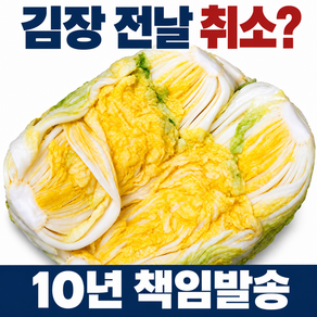 [수령일 3일전까지도 주문가능] 해남 땅끝 절임배추 20kg