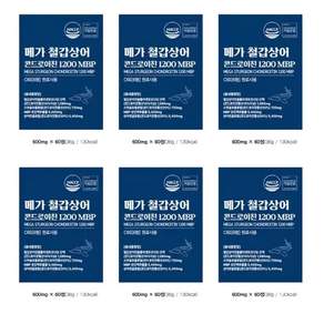 철갑상어 콘드로이친 뮤코다당단백 저분자 c6s 6형 cs6형 cs6 콘드로친