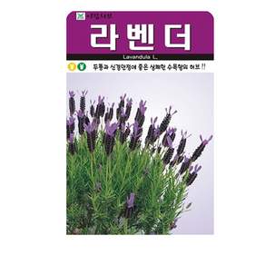 아람허브 라벤더 씨앗 100립