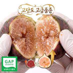 [품질보증] 영암 산지직송 고당도 꿀 무화과