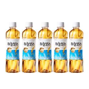 웅진 하늘보리