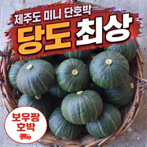 "다담팜" 제주 보우짱 미니 밤호박 가정용 혼합과