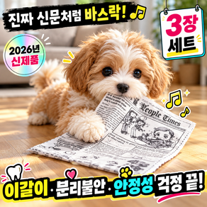 (당일배송) KDKlab 강아지 소리나는 신문책 3p 세트 / KDKS199