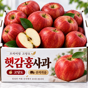 [제철특가] 고당도선별 3대째잘먹는 감홍 사과