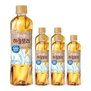 웅진 유기농 하늘보리 차음료