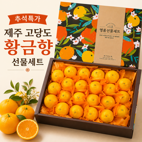 [추석특가] 제주 고당도 황금향 선물세트