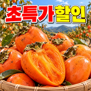 [SNS대란주문폭주] 산지직송 홍시용 초꿀고당도 대봉감