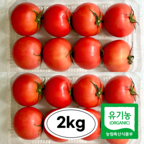 친환경 유기농 무농약 방울토마토 찰 완숙 토마토 이영화 농부 농장 직송 [횡성 둔내]