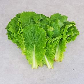 청상추(특) 4kg