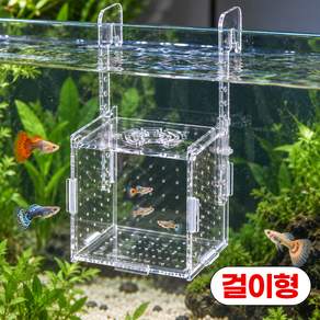 디심플 어항 격리통 구피 치어 부화통 치어통