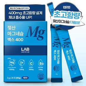 랩온랩 젖산 마그네슘 맥스 400 분말 30포 아연 비타민c