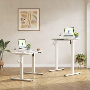 FlexiSpot 전동 모션데스크 EF1 컴퓨터책상 높이조절책상 A/S 5년 높이690-1100mm 학생책상 낮은 높이 사무실책상 게이밍책상