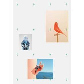 보스토크프레스 보스토크 VOSTOK 매거진 36호 - 버드송 BIRDSONG