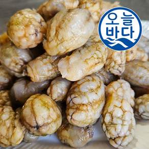 마산 진동 냉동. 생물 오만둥이(최상급) 산지직송 1kg (2개 이상 구매시 오만둥이 300g 증정)