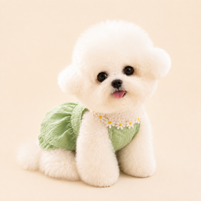 소형견 강아지 꽃무늬 멜빵 원피스 프릴 드레스 비숑 푸들 여름 사진촬영 고양이 겸용 반려동물 의류